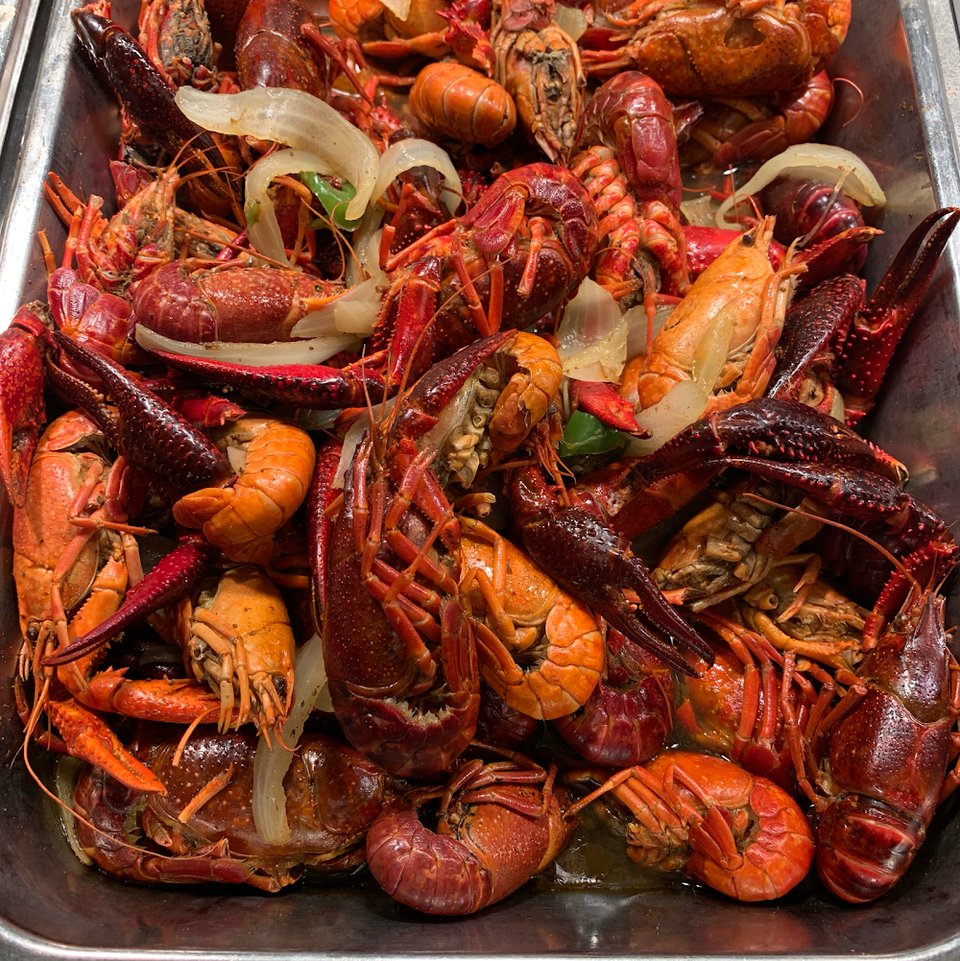 Crayfish